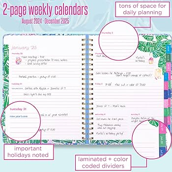 Amazon.com : Lilly Pulitzer Daily Planner Dated August 2024